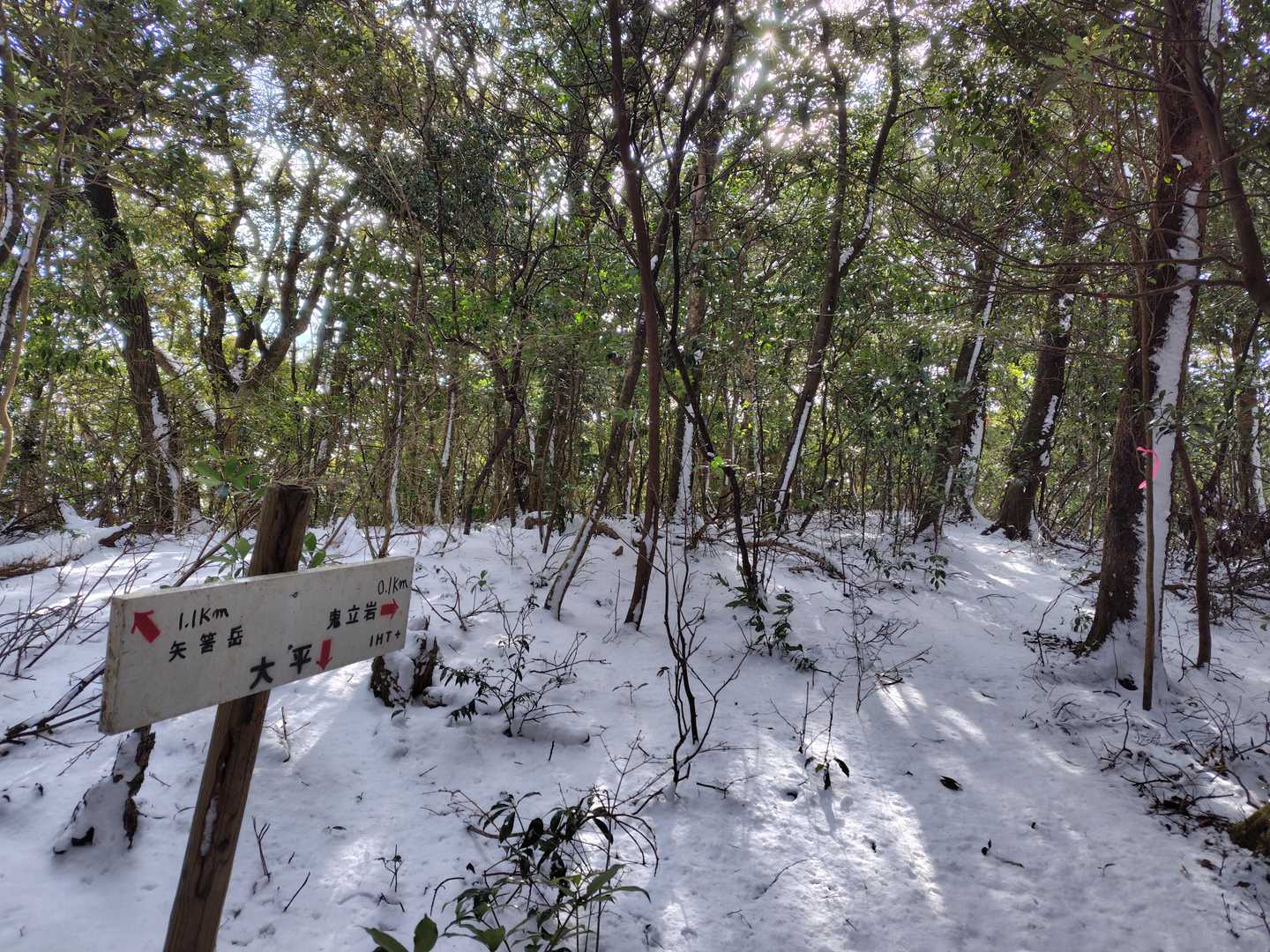 矢筈岳登山口-矢筈岳 往復コースの写真