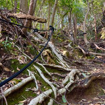 かなりの急登にはロープが設置