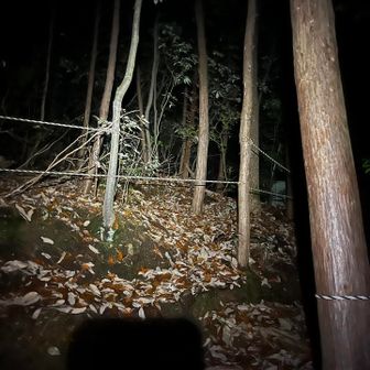 初の暗いなかでのソロ。
怖い。
音楽流して気を紛らそう。