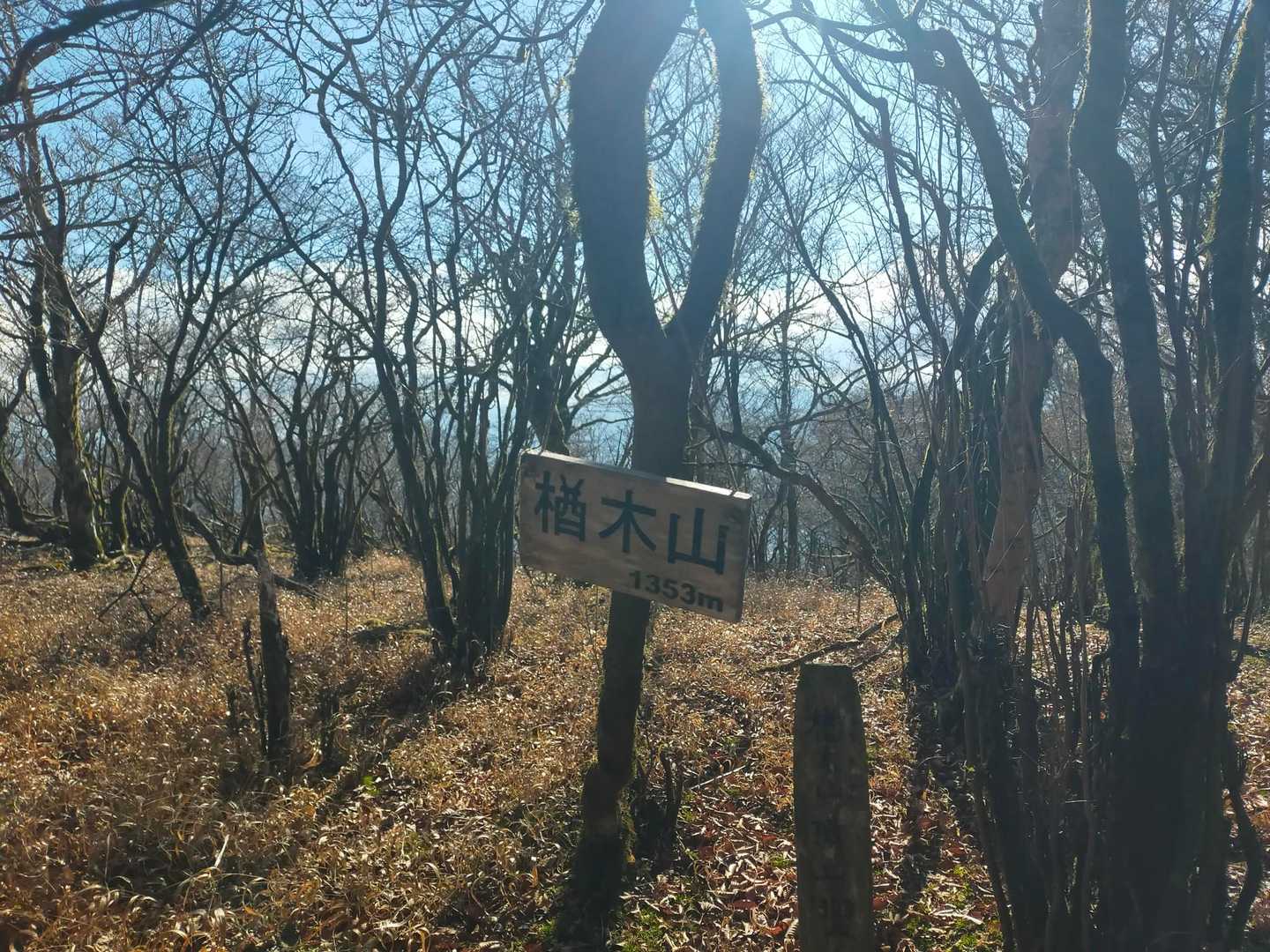 楢木山山頂。