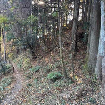 先へ進んで、ここは右に登ると物見山
ふつーに歩いてると見過ごしちゃいそう🥲
