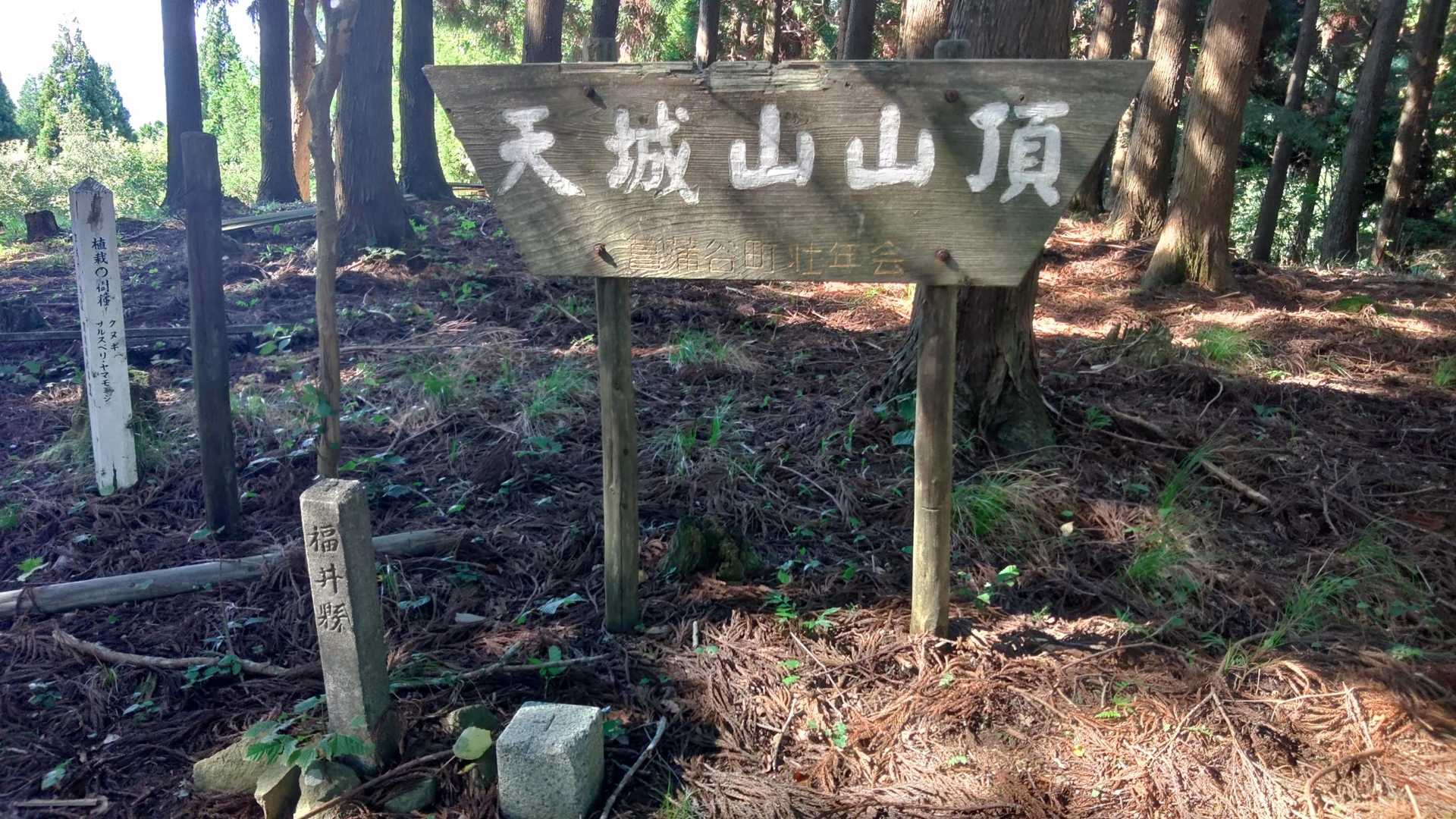 天城山 往復コースの写真