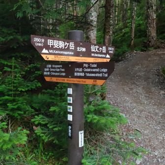 さあ、仙丈ヶ岳へ！
でもここから登らずに長兵衛小屋の方へ30mくらい下った脇道からスタートした方が、上りが少ないので5分くらい違うそうです