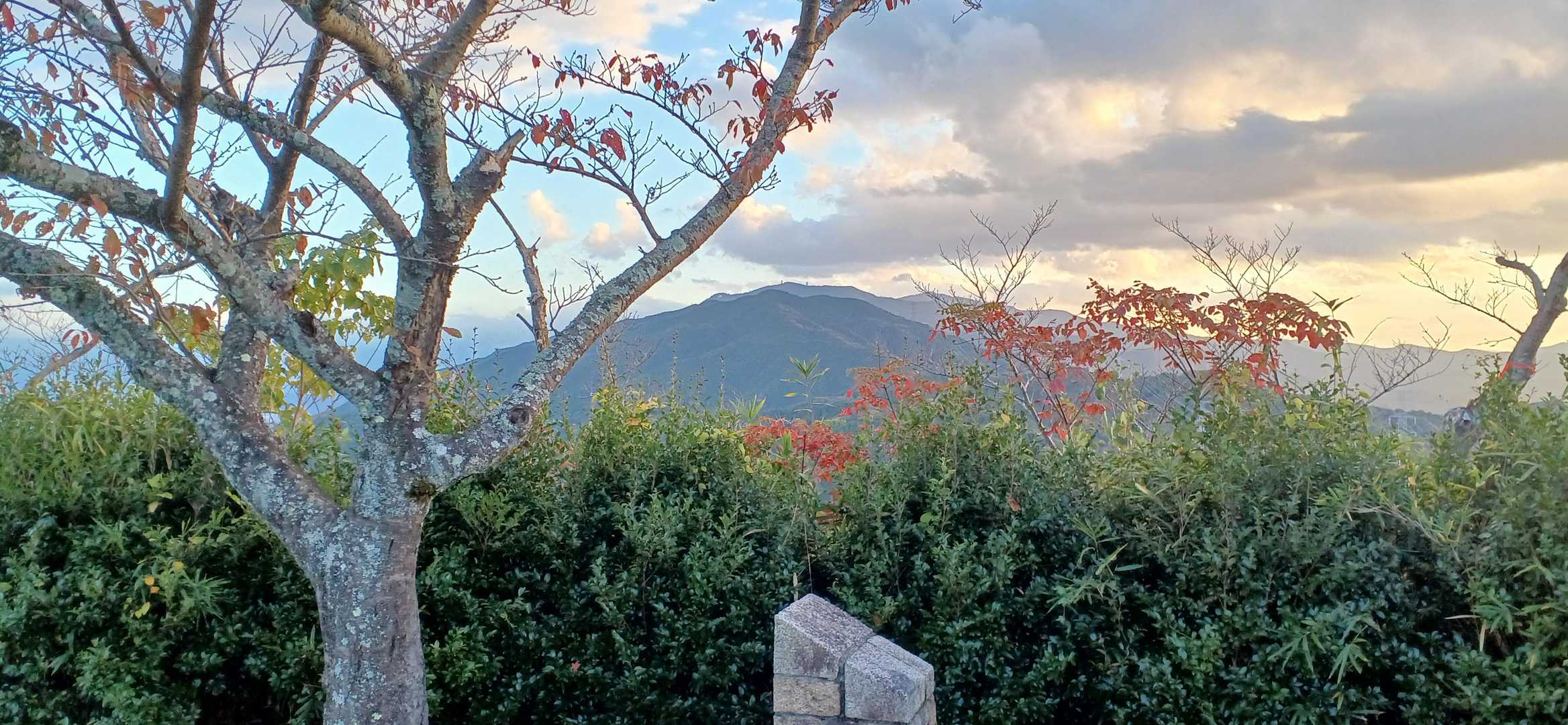 いつもの場所から金剛山。