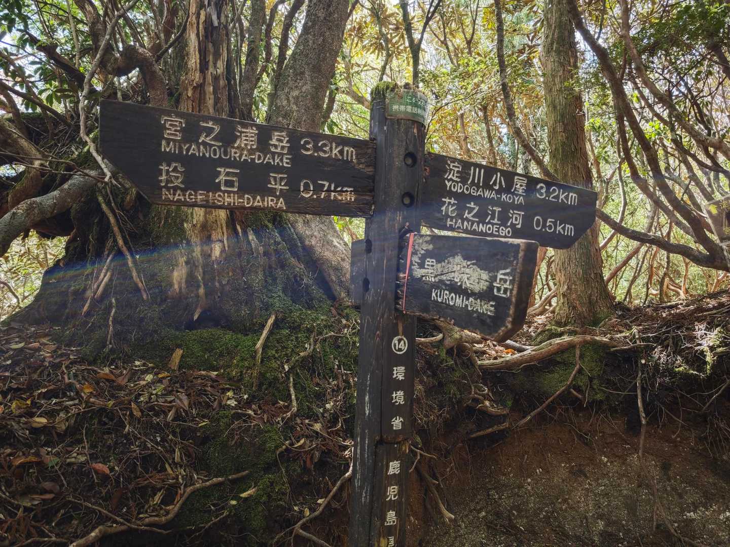 黒味岳への分岐
ピストンします