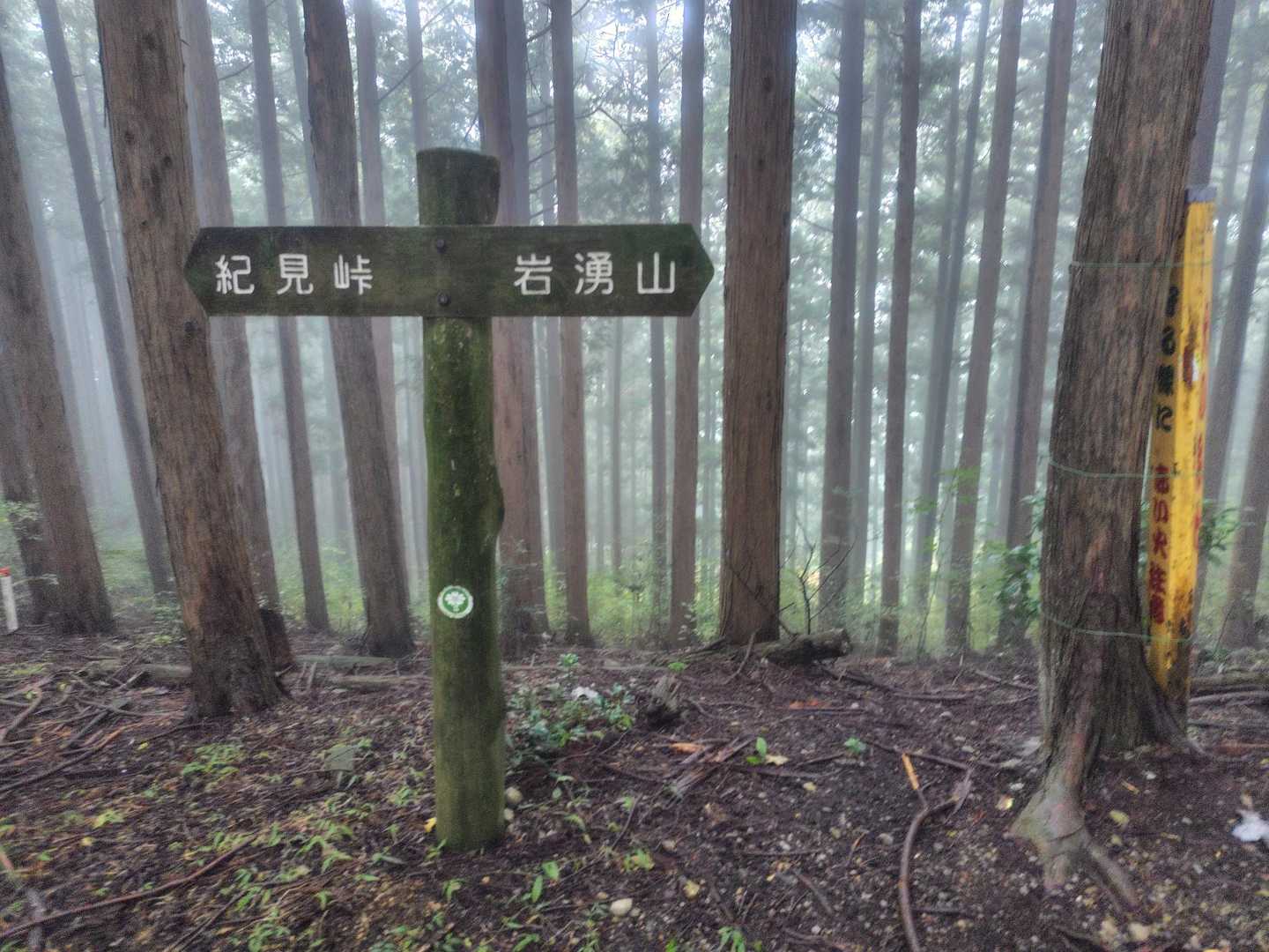 ダイトレの分岐点に