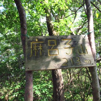 最後の山