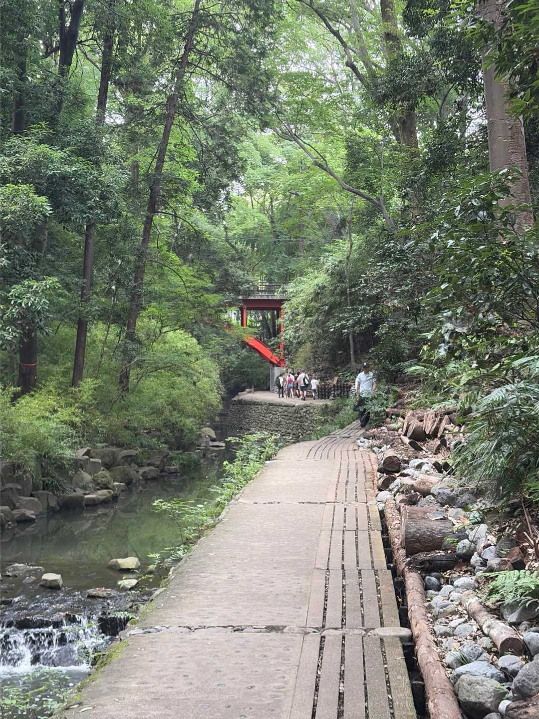 遊歩道をゆっくり歩いて駅まで戻りました。