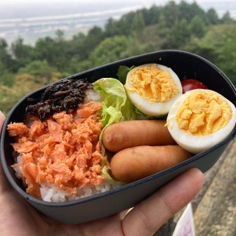 今日は朝ごはんお弁当よ