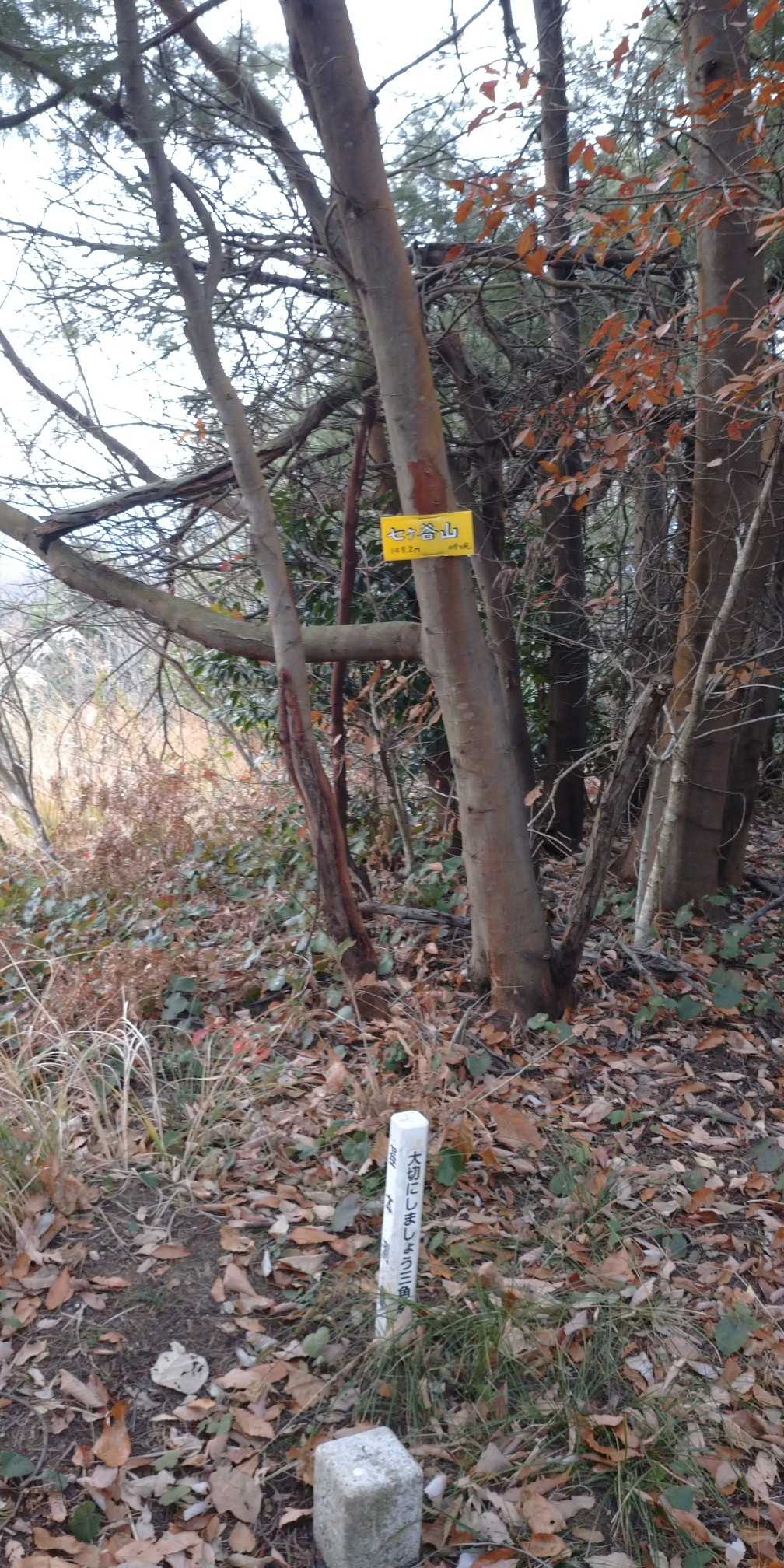 鉄塔ピークっす！
七ヶ谷山、次は探検必死の福地山