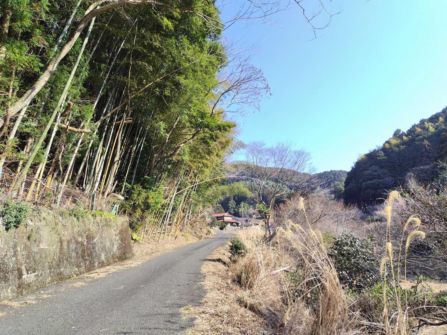 スタート
この手前の道路脇に駐車
付近に🚾はないので、道の駅等で済ませておくことをおすすめ
YAMAP地図に記載されている車の通行止めはなかった