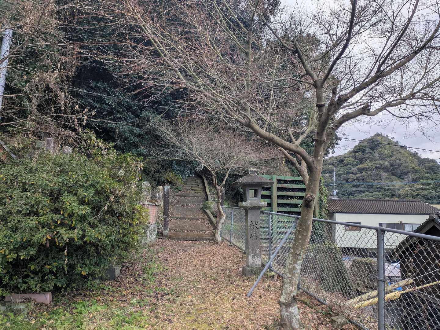 蓮花石山 往復コースの写真