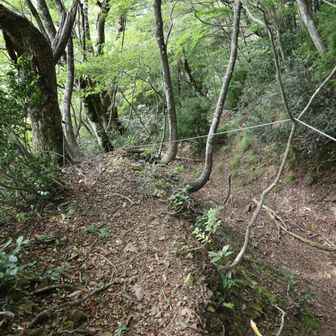 やがてお助けロープの張られた急な下りとなり
ます。