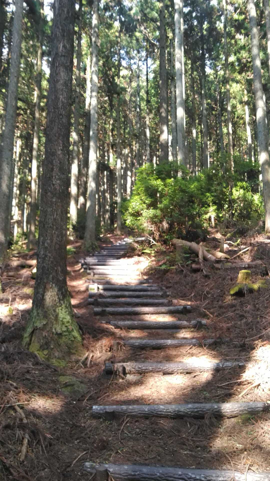 霊山登山口-霊山-みはらしコース入口 周回コースの写真