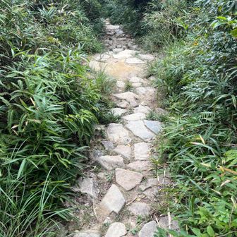 岩だらけの道はまだ続く
修行の道は長い🧘🏽