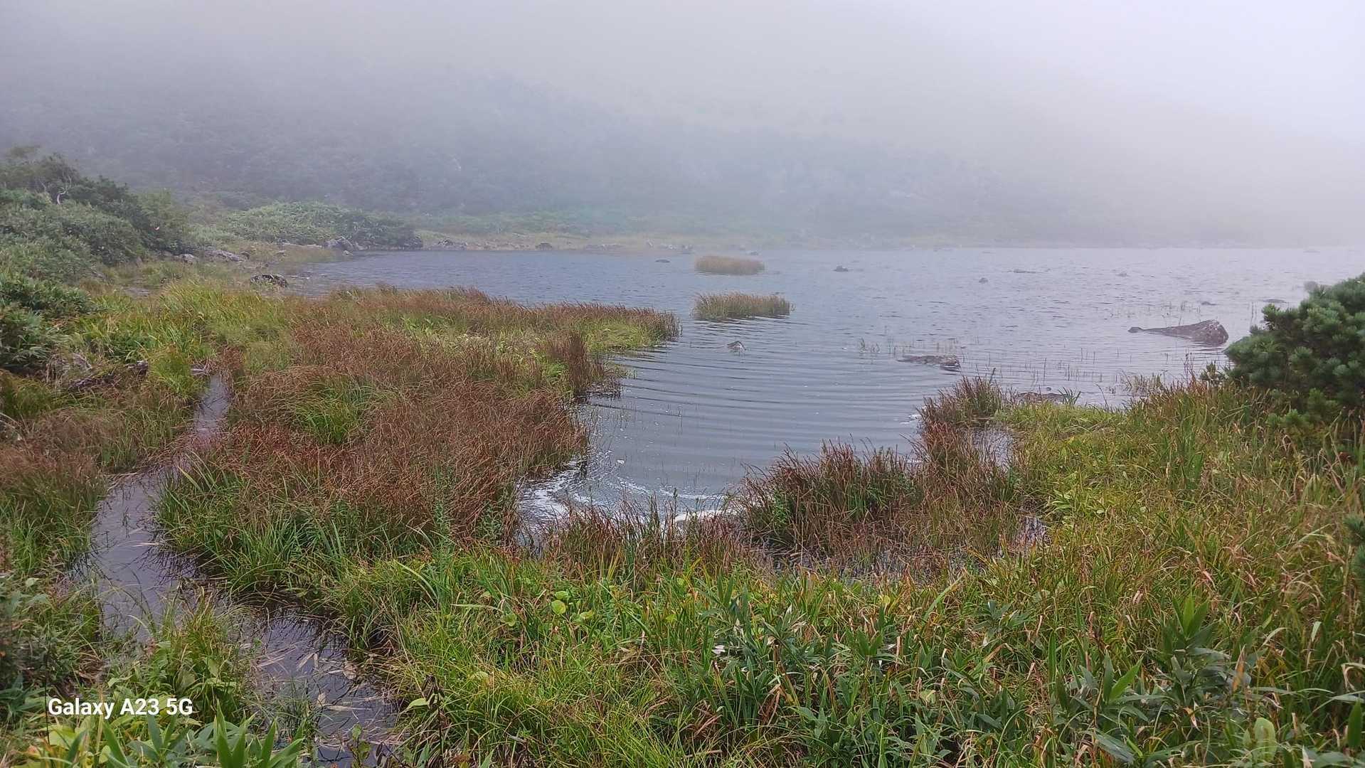 沼に到着
登山道水没？