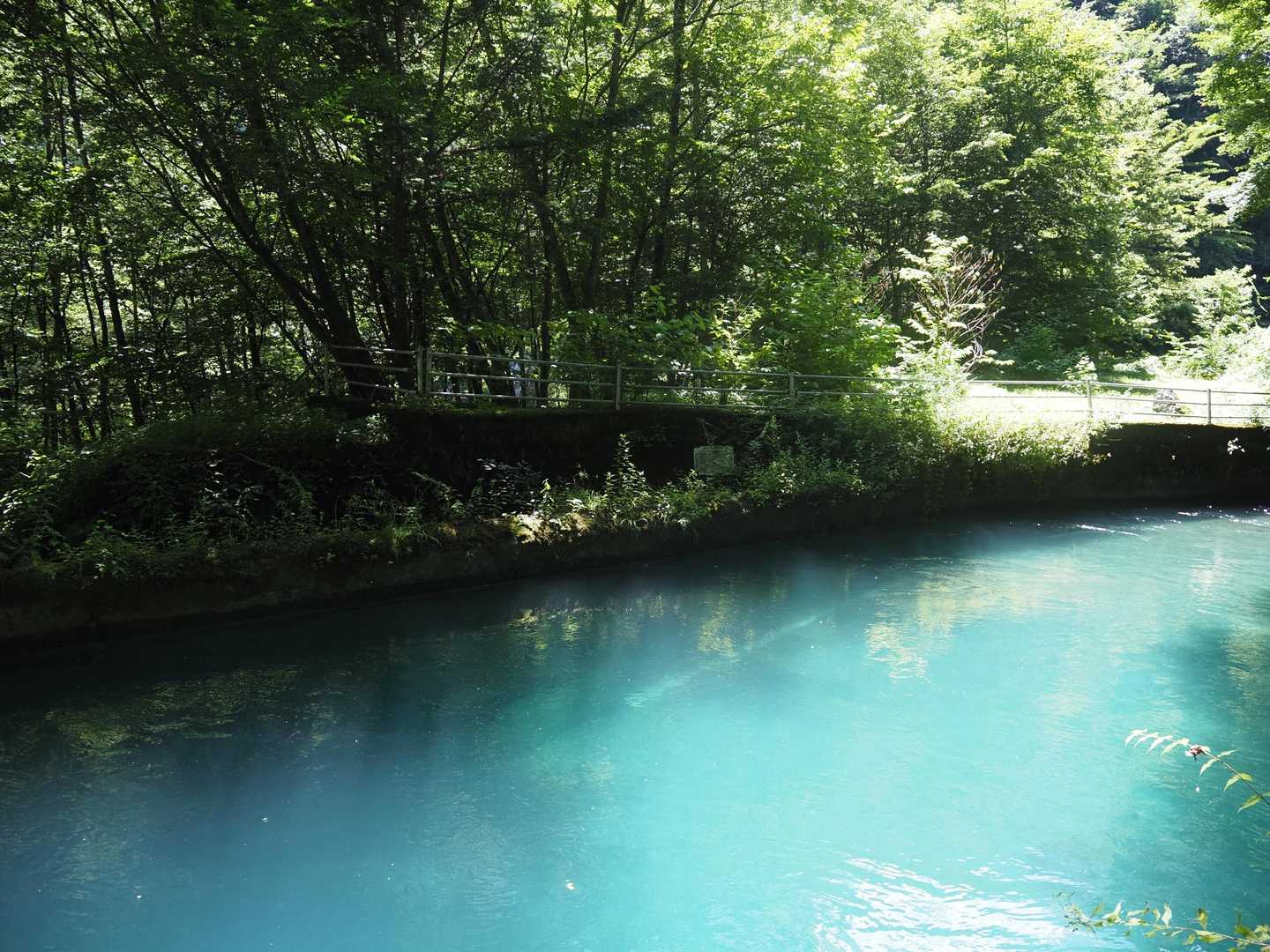 綺麗なブルー