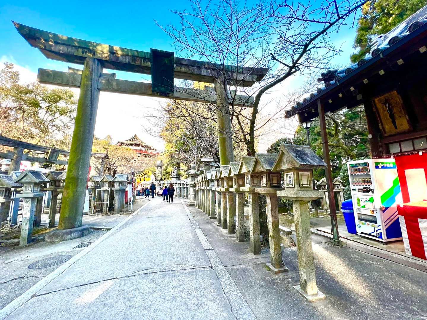 信貴山-高安山 往復コースの写真