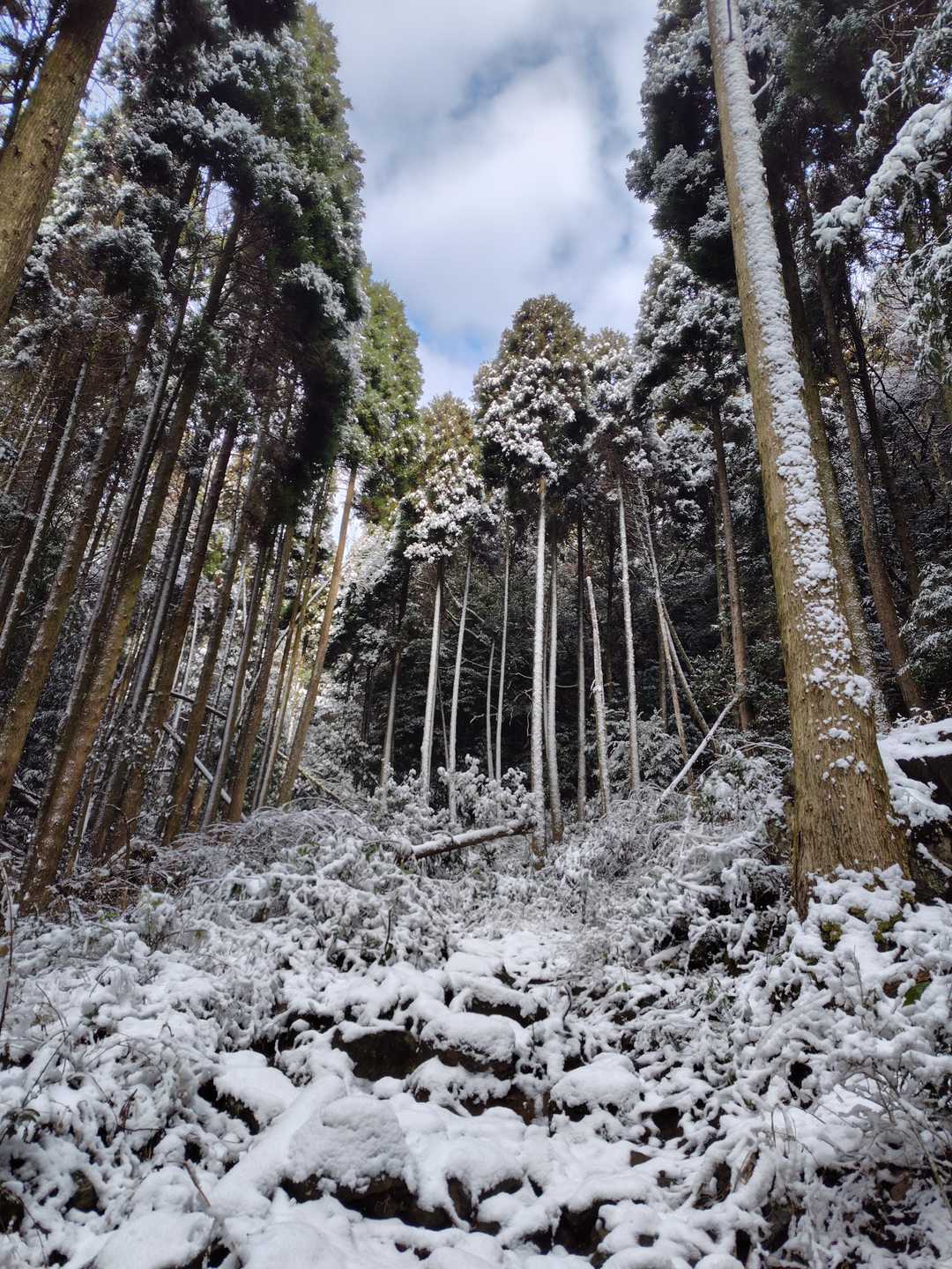 降り積もった雪で滑らないように注意しながら登って行きます😁