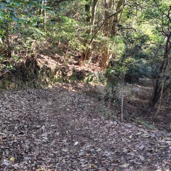 折り返すように曲がっていい感じの道を進みます。