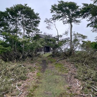 山頂の避難小屋が見えて来ました