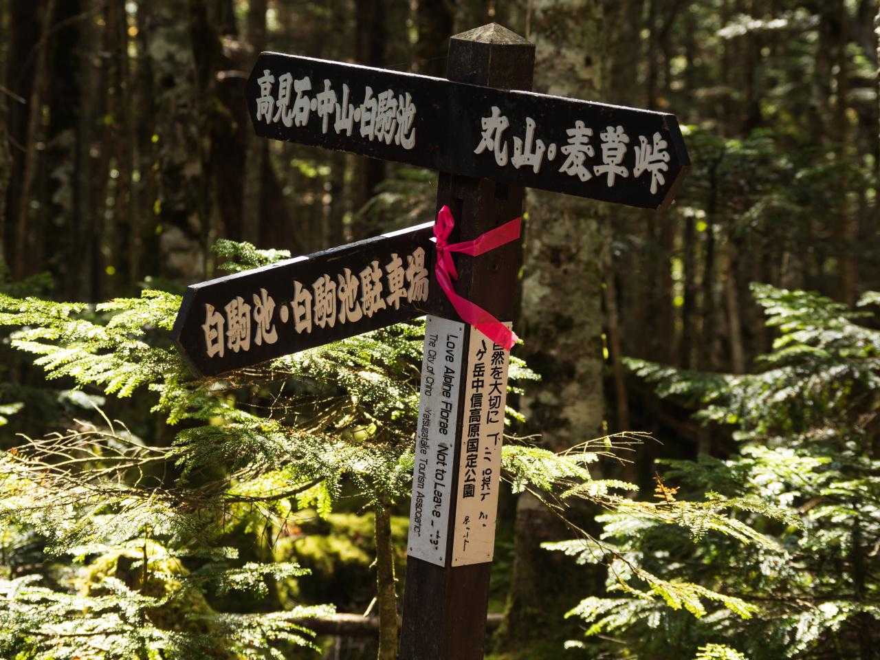 麦草峠-丸山 周回コースの写真