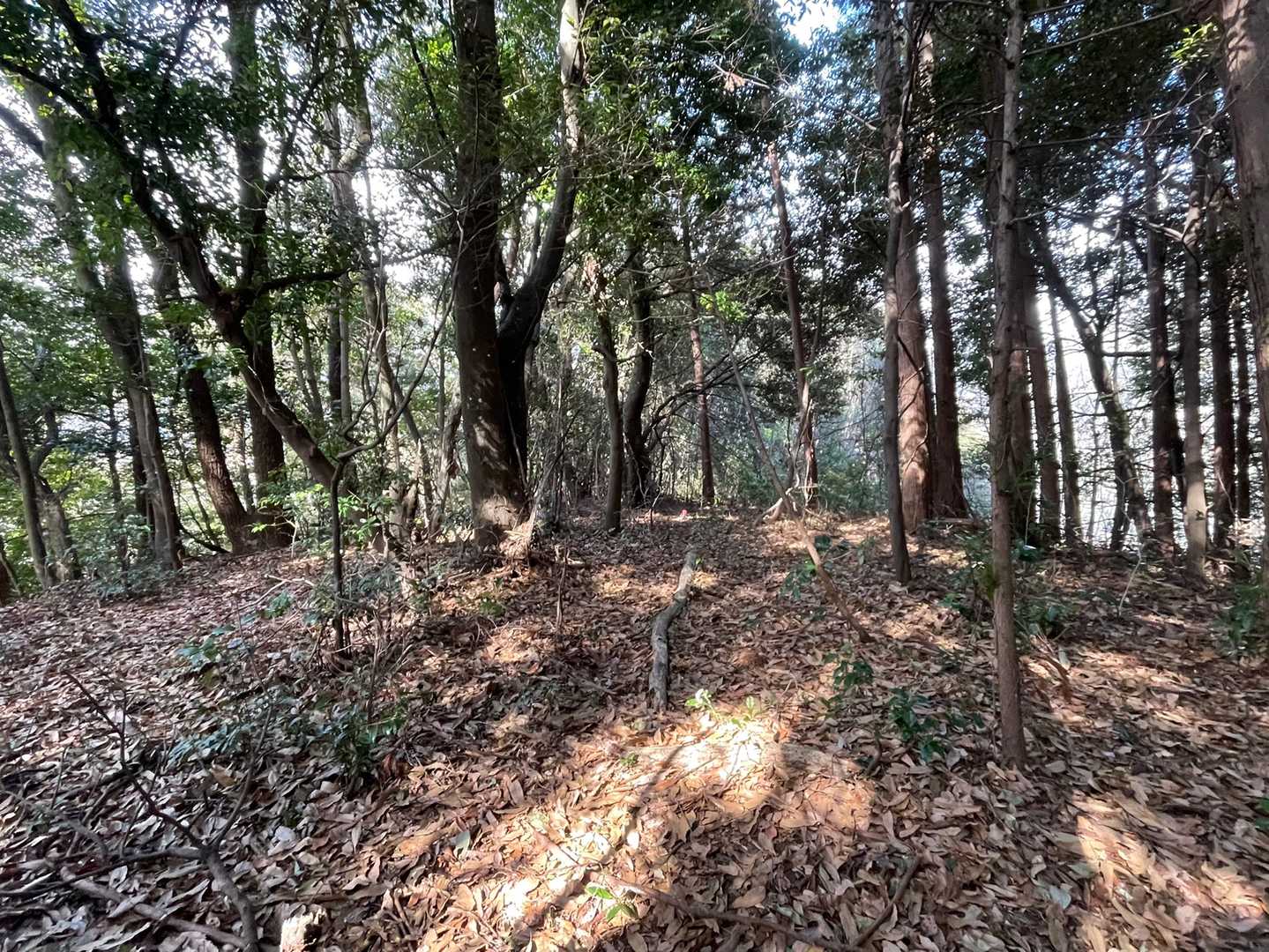 障子岳の山頂⛰

竹ゾーンはキツかった笑