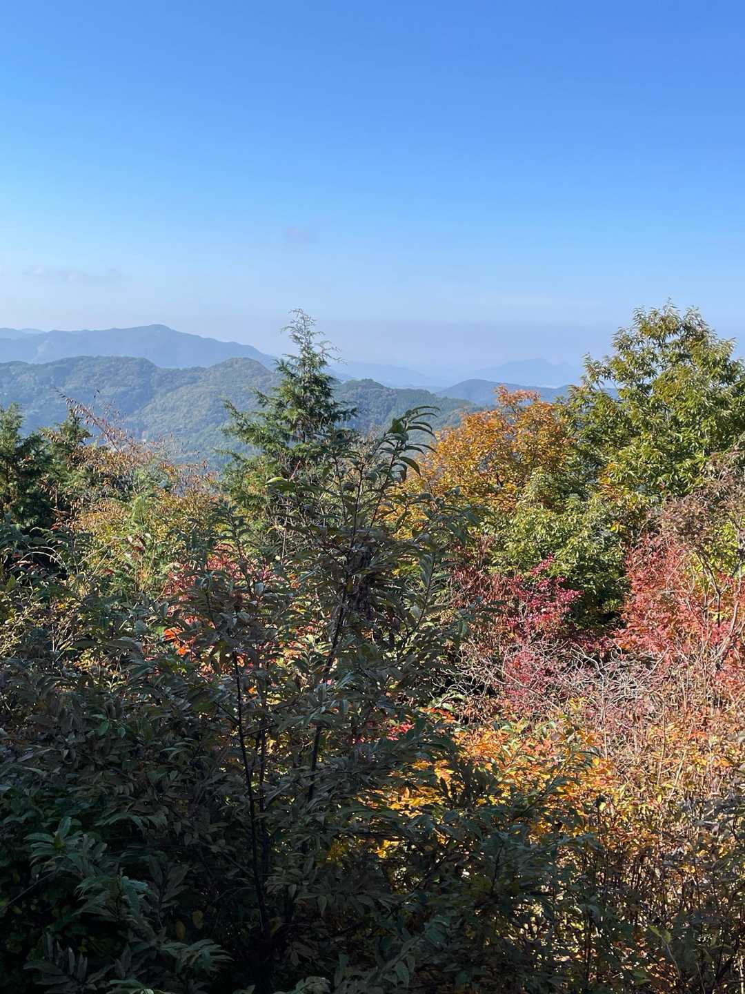 奥に見えるのは香川にもう一座ある1000m峰　大川山