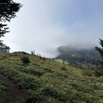 この先の稜線歩きもとても楽しそう。
富士山を見ながらの山行っていいですね。