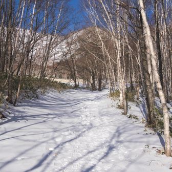 スノーシューは不要チェンスパのみでした。雪少な。