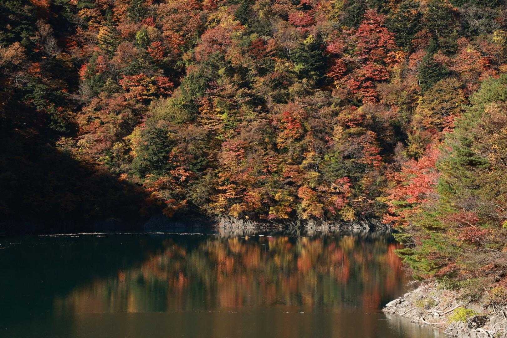茶臼岳登山口-ヤレヤレ峠-茶臼岳-上河内岳 往復コースの写真