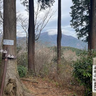 大山山頂は☁️