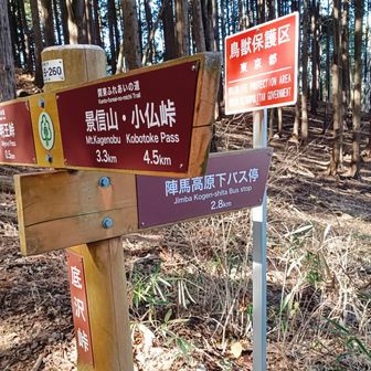 ここから、陣馬高原下バス停には行ったことないけど、あまり行く人も少ないのでやめておく。