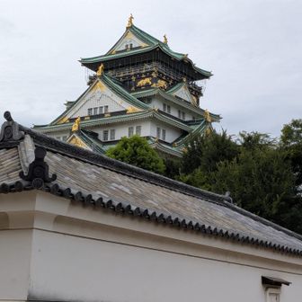 時間も時間だから天守の行列はなかったです
天守閣は随分昔に入ったもんね
今、値上がりしてるし
府民はためらって🦓

あぁ、百名城スタンプ本忘れてきたわあー😭

大阪城、また来ます