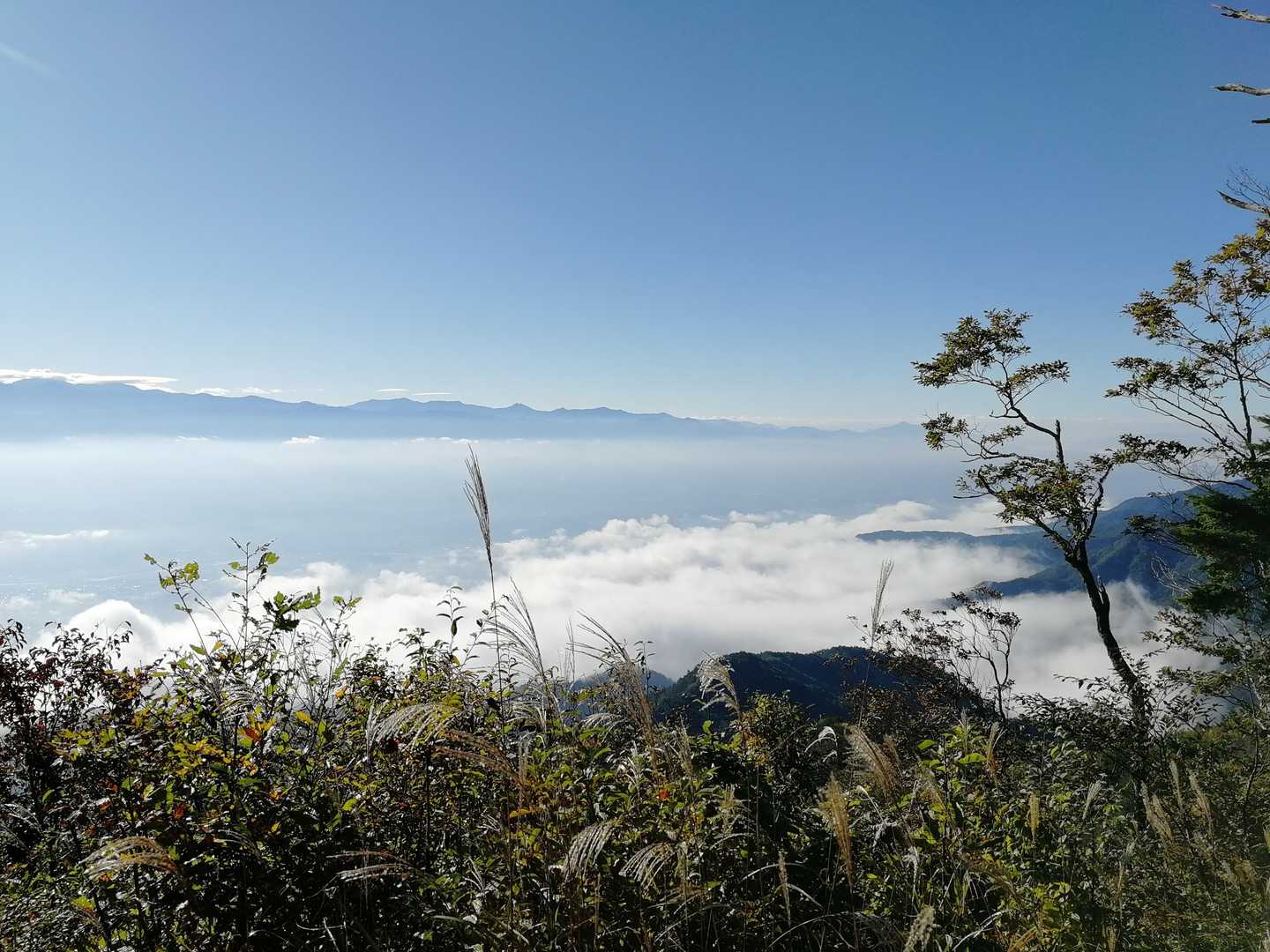 山頂に到着🏔