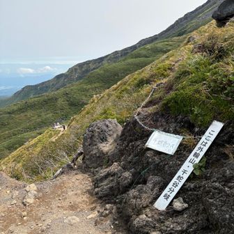 分岐まで戻ってきました。