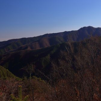坪山からの権現山です。
