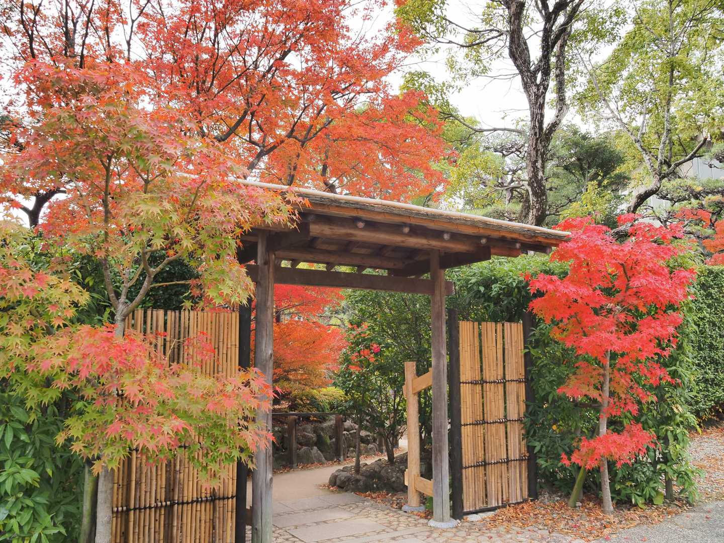ここから日本庭園に入場