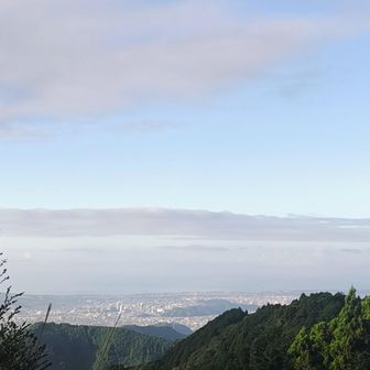 静岡市が見えーる👀