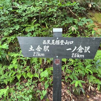 ここからスタート▶️