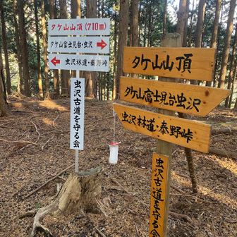 タケ山の山頂は地味…