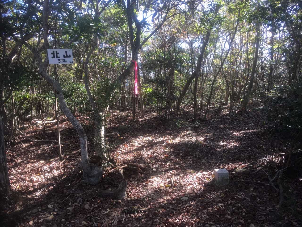 縦走路を少し離れて北山🚩ゲット😎