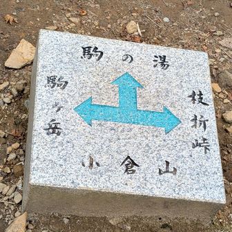 分岐