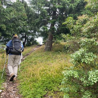 裏山手前の…この区間は少しだけしんどい😂