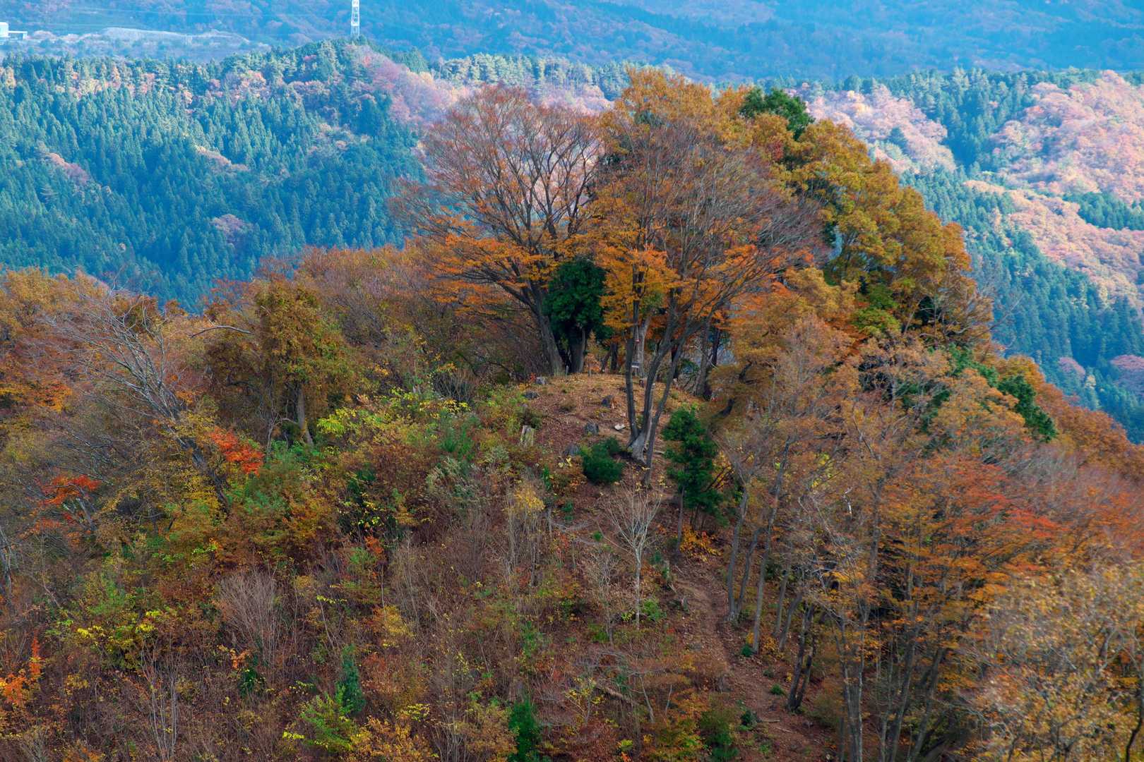 矢祭山山頂