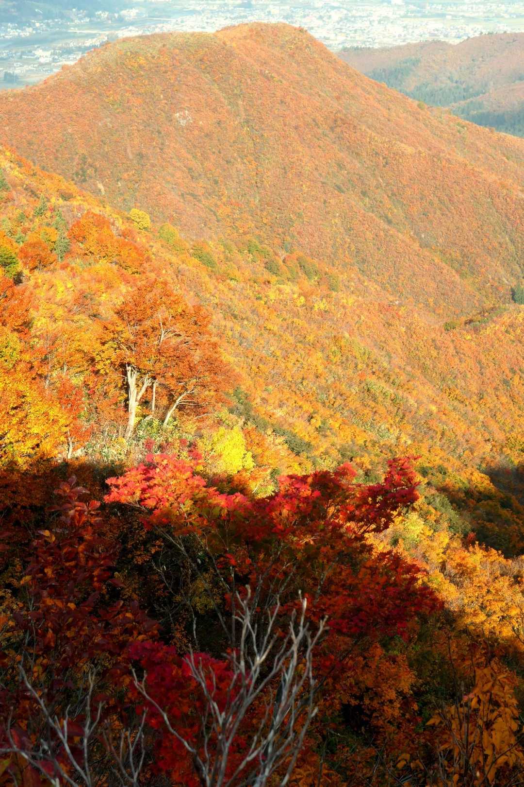 登ってきた大力山