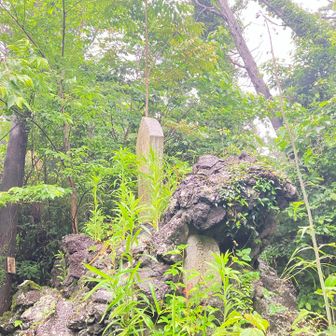 山頂まですぐです
なんかがあります👺