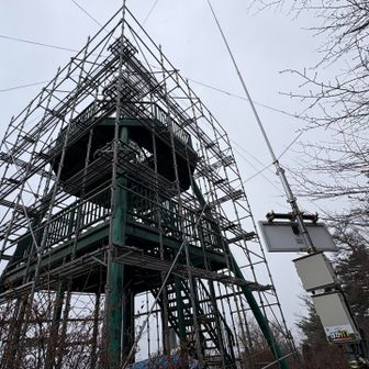 何しているんでしょうね・・・