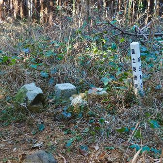 見落とすとこだった