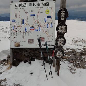 ハシビロコウ